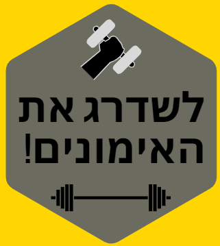 מוצרי כושר 